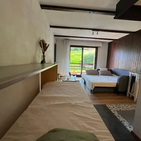 Cosy Dans Le Domaine Skiable Des Portes Du Soleil A Torgon *