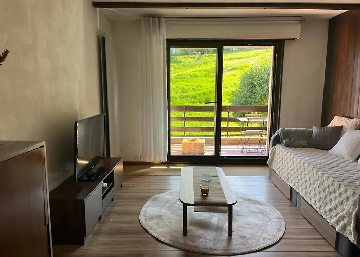 公寓 Cosy Dans Le Domaine Skiable Des Portes Du Soleil A Torgon