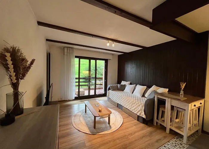 Cosy Dans Le Domaine Skiable Des Portes Du Soleil A Torgon Appartement