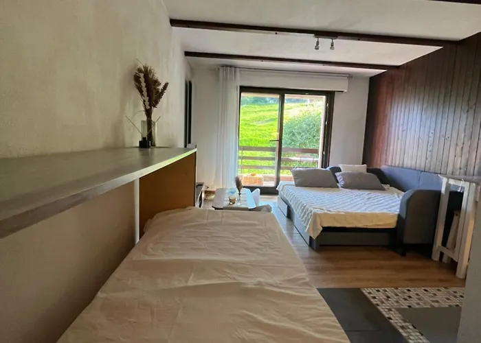 Cosy Dans Le Domaine Skiable Des Portes Du Soleil A Torgon *