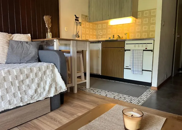 Cosy Dans Le Domaine Skiable Des Portes Du Soleil A Torgon Apartman *