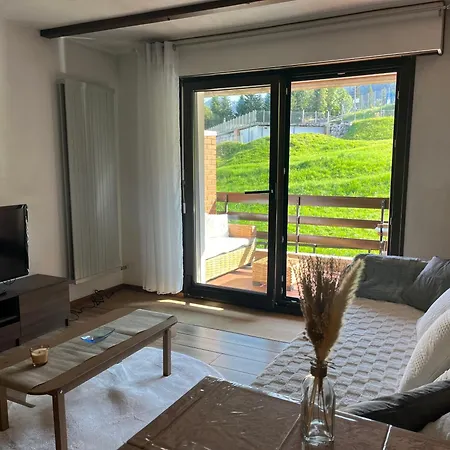 Cosy Dans Le Domaine Skiable Des Portes Du Soleil A Torgon Apartment