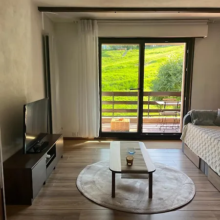 Apartment Cosy Dans Le Domaine Skiable Des Portes Du Soleil A Torgon