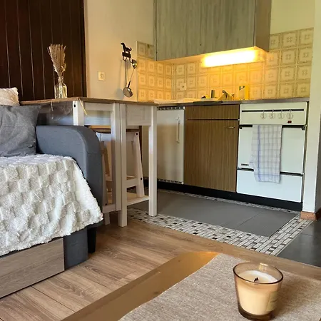 Cosy Dans Le Domaine Skiable Des Portes Du Soleil A Torgon Apartment *